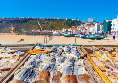 Moradia T3 para Venda em Nazare