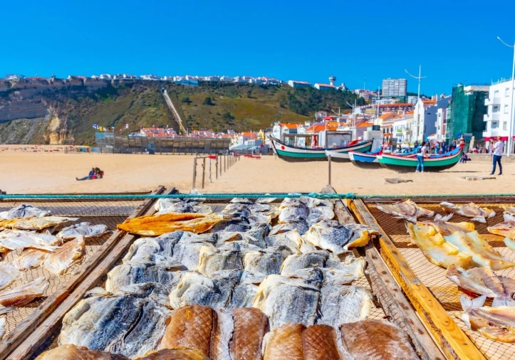 Moradia T3 para Venda em Nazare Foto 11