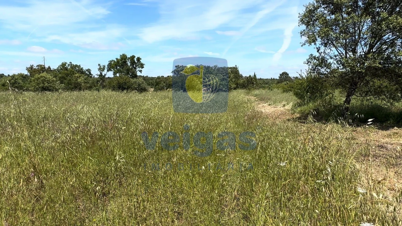 Terreno para Venda em Fatima Foto 9