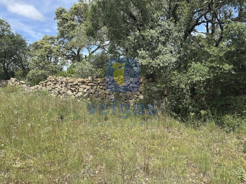Terreno para Venda em Fatima Foto 10