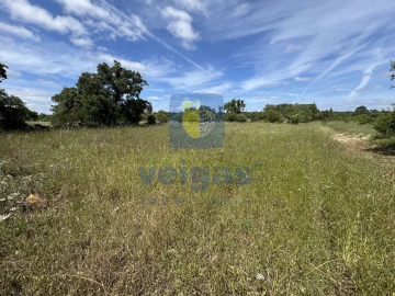 Terreno para Venda em Fatima