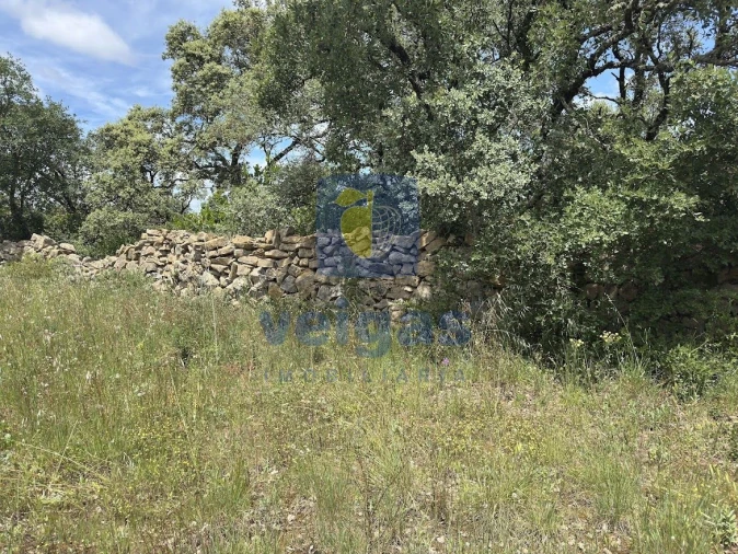 Terreno para Venda em Fatima Foto 10
