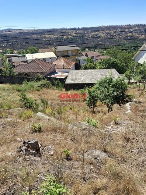 Terreno para Venda em Satão