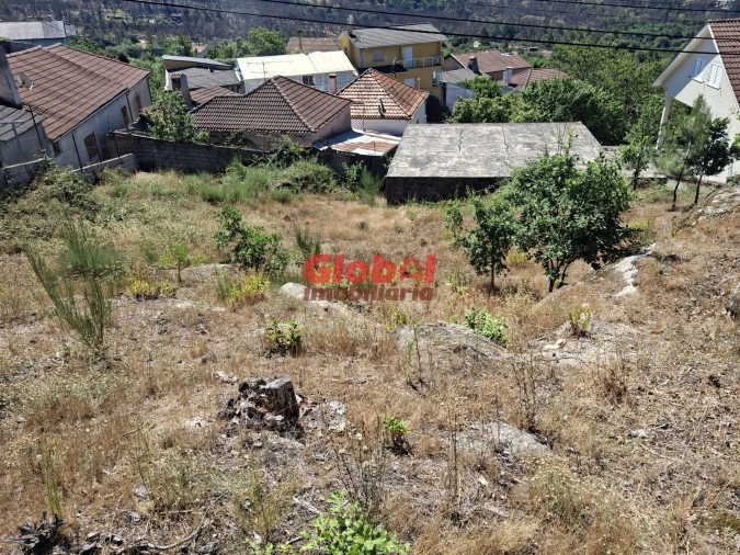 Terreno para Venda em Satão Foto 2