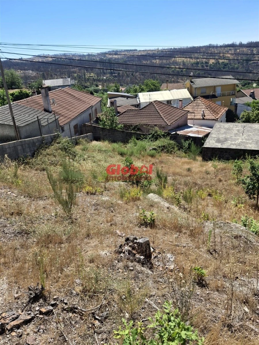 Terreno para Venda em Satão Foto 4