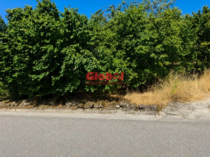 Terreno para Venda em Satão Foto 6