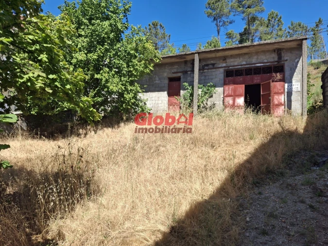 Terreno para Venda em Satão Foto 3