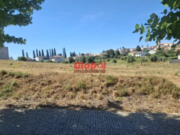 Terreno para Venda em Vila Cova do Covelo/Mareco