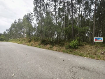 Terreno para Venda em Poiares (Santo Andre)
