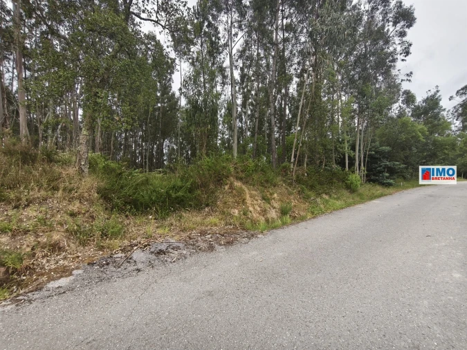 Terreno para Venda em Poiares (Santo Andre) Foto 4