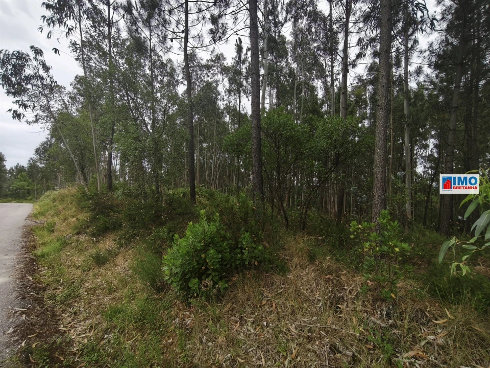 Terreno para Venda em Poiares (Santo Andre) Foto 3
