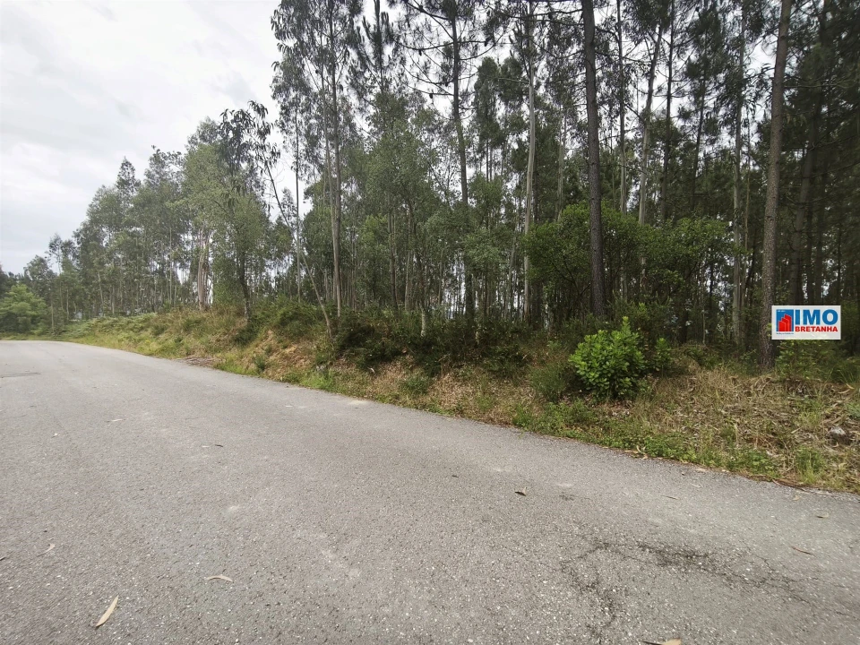 Terreno para Venda em Poiares (Santo Andre) Foto 2