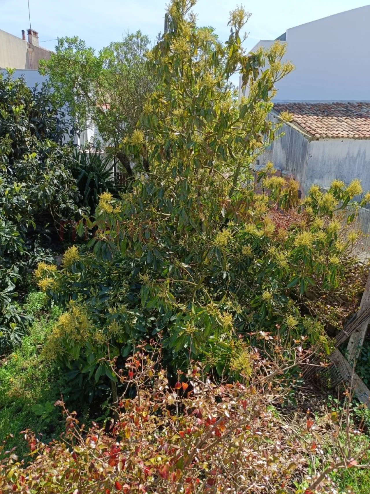 Moradia T6 para Venda em São Bartolomeu dos Galegos e Moledo Foto 28
