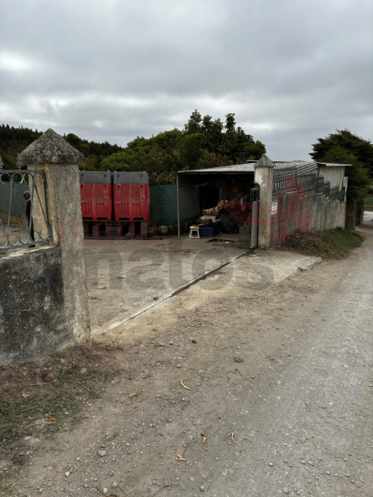 Terreno Agricola ou Rústico para Venda em Lourinhã e Atalaia Foto 6