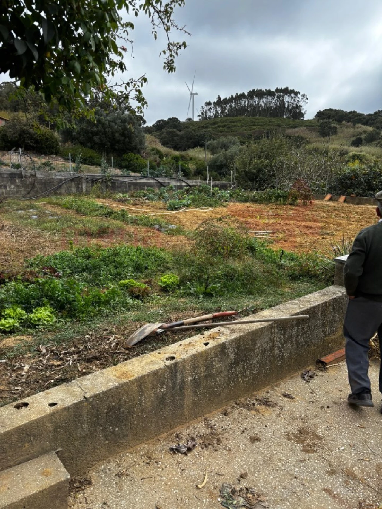 Terreno Agricola ou Rústico para Venda em Lourinhã e Atalaia Foto 11