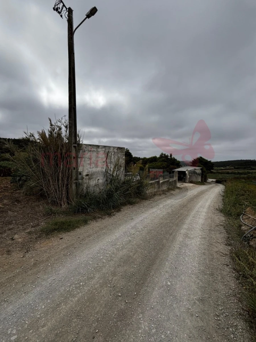 Terreno Agricola ou Rústico para Venda em Lourinhã e Atalaia Foto 14