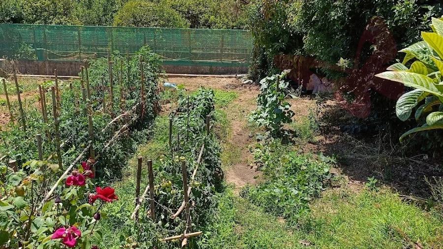 Terreno Agricola ou Rústico para Venda em Lourinhã e Atalaia