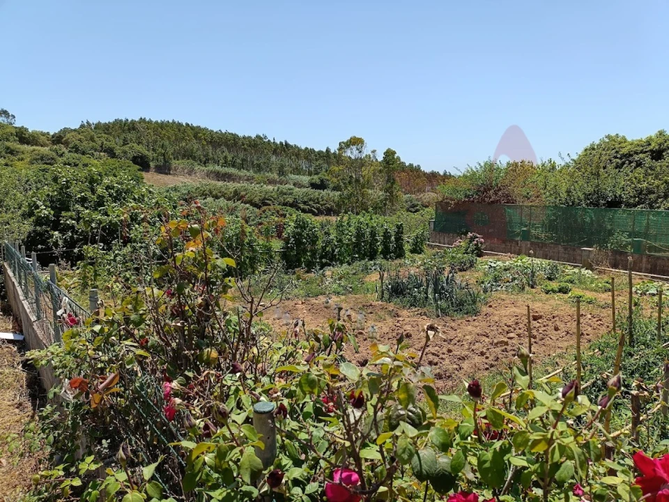 Terreno Agricola ou Rústico para Venda em Lourinhã e Atalaia Foto 1