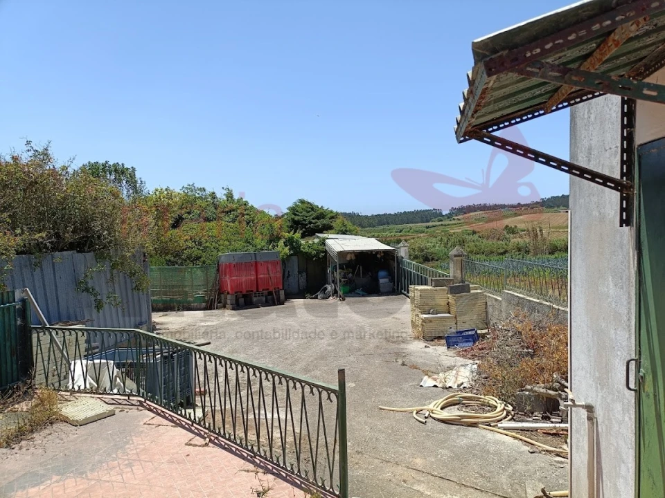 Terreno Agricola ou Rústico para Venda em Lourinhã e Atalaia Foto 3