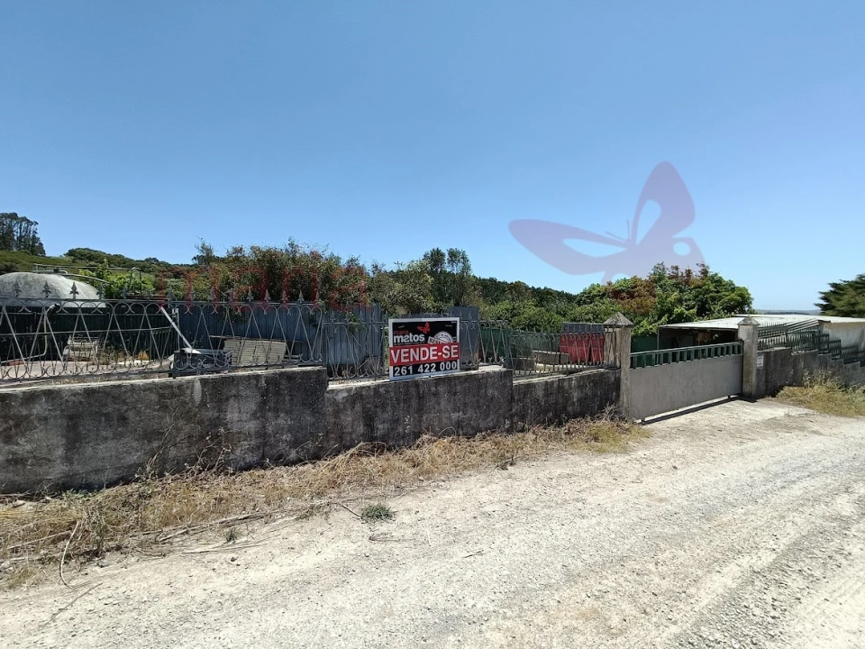 Terreno Agricola ou Rústico para Venda em Lourinhã e Atalaia Foto 4