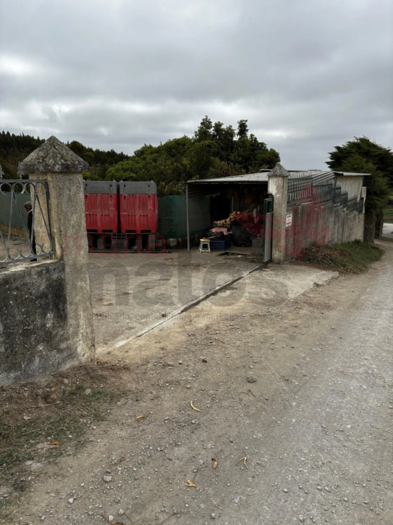 Terreno Agricola ou Rústico para Venda em Lourinhã e Atalaia Foto 6