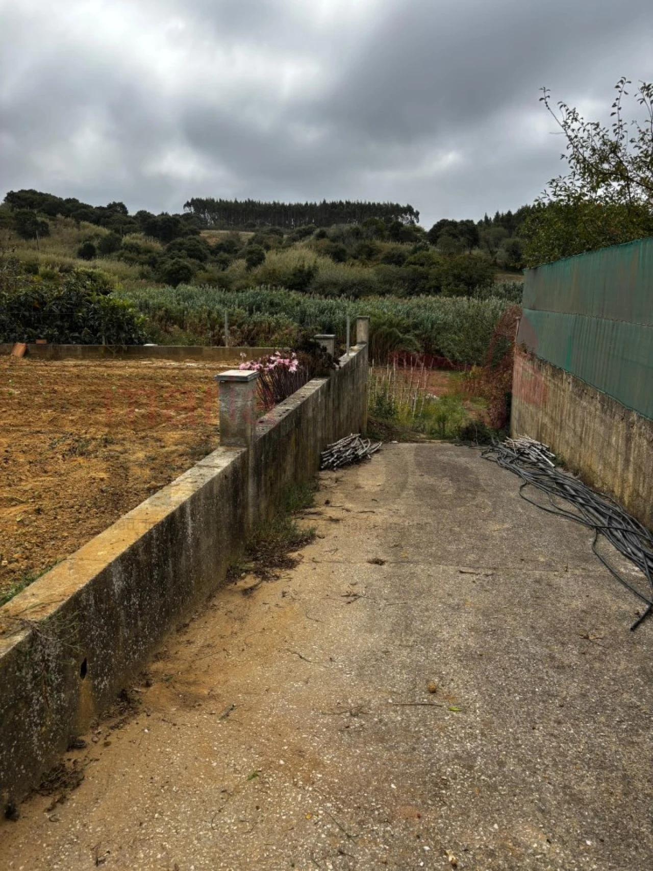 Terreno Agricola ou Rústico para Venda em Lourinhã e Atalaia Foto 10