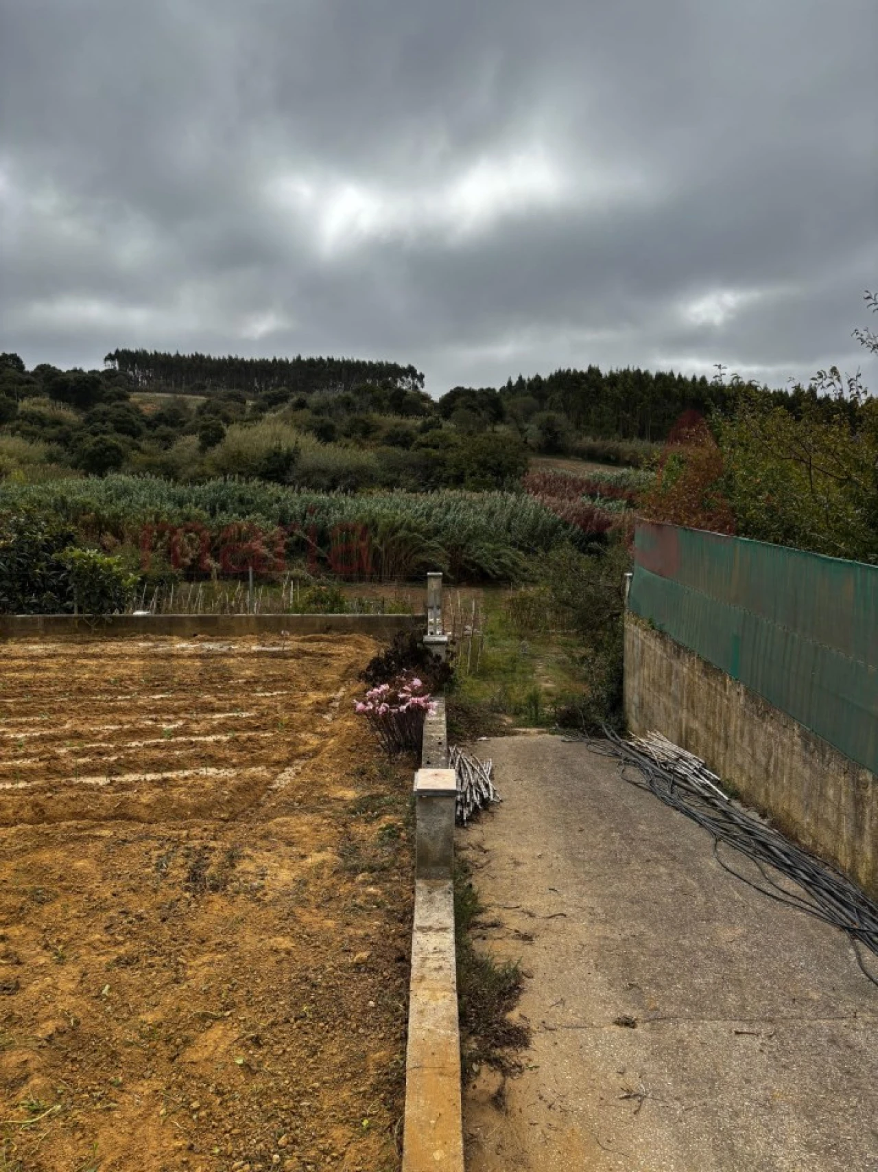 Terreno Agricola ou Rústico para Venda em Lourinhã e Atalaia Foto 12