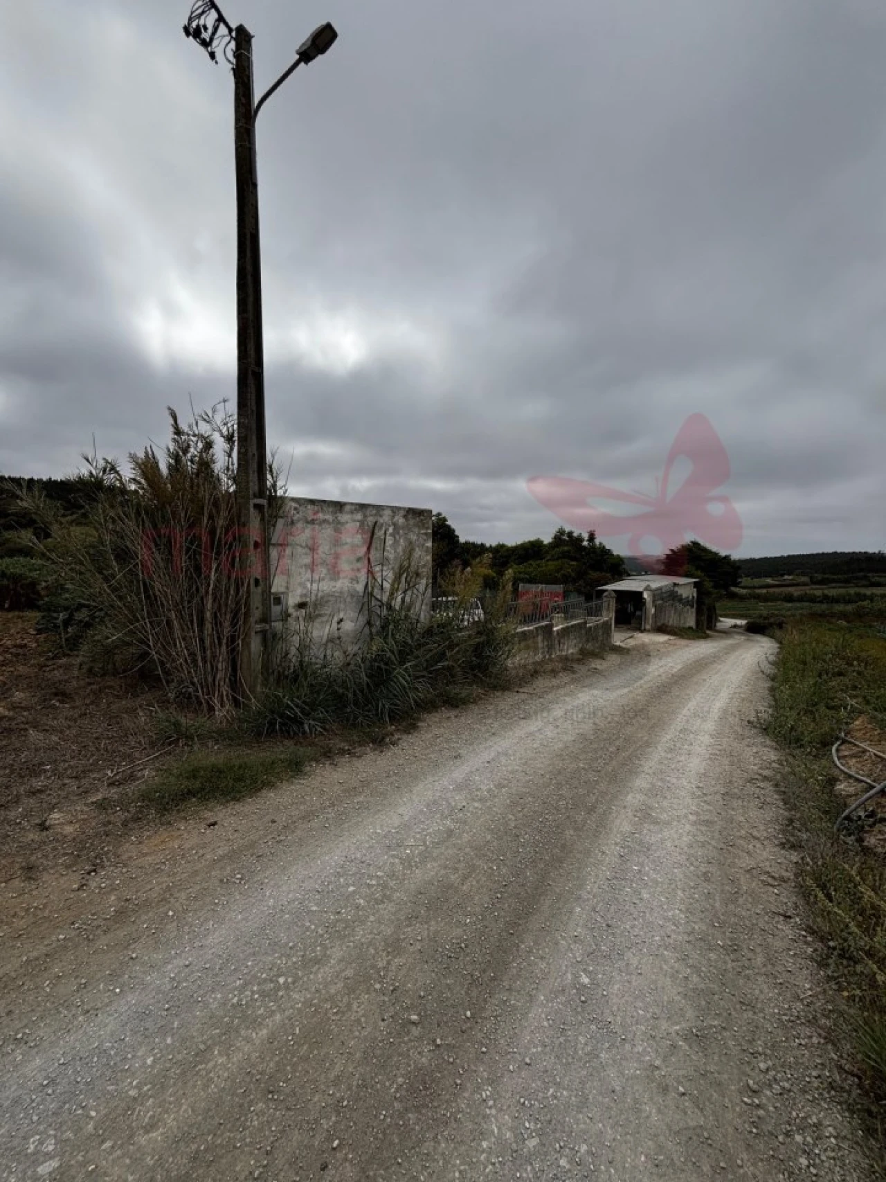 Terreno Agricola ou Rústico para Venda em Lourinhã e Atalaia Foto 14