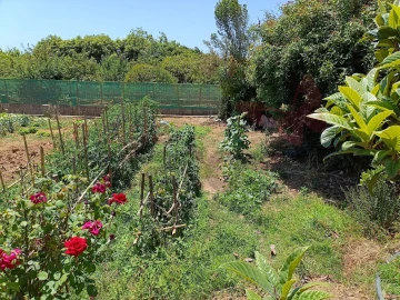 Terreno Agricola ou Rústico para Venda em Lourinhã e Atalaia