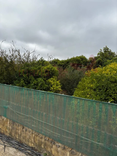 Terreno Agricola ou Rústico para Venda em Lourinhã e Atalaia