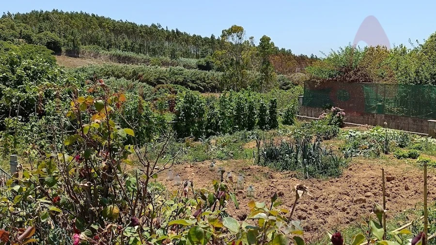 Terreno Agricola ou Rústico para Venda em Lourinhã e Atalaia
