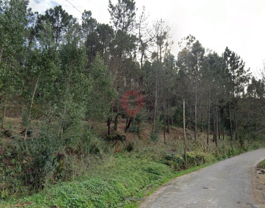 Terreno para Venda em Navió e Vitorino dos Piães Foto 2