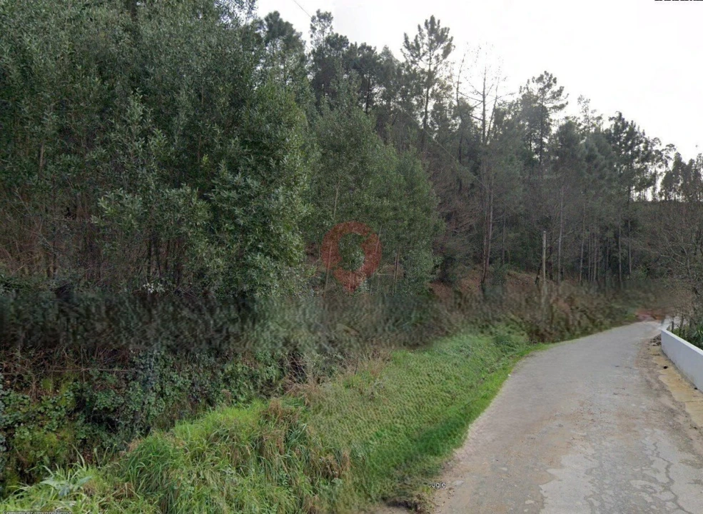 Terreno para Venda em Navió e Vitorino dos Piães Foto 1