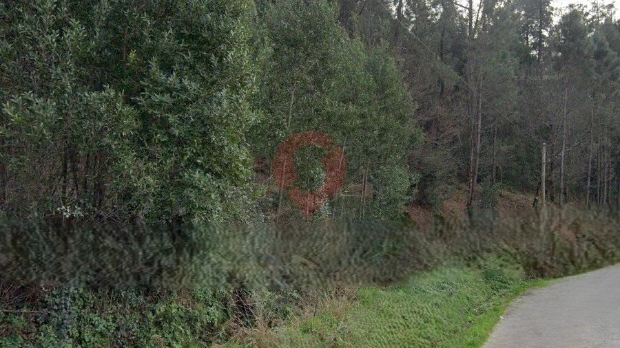 Terreno para Venda em Navió e Vitorino dos Piães