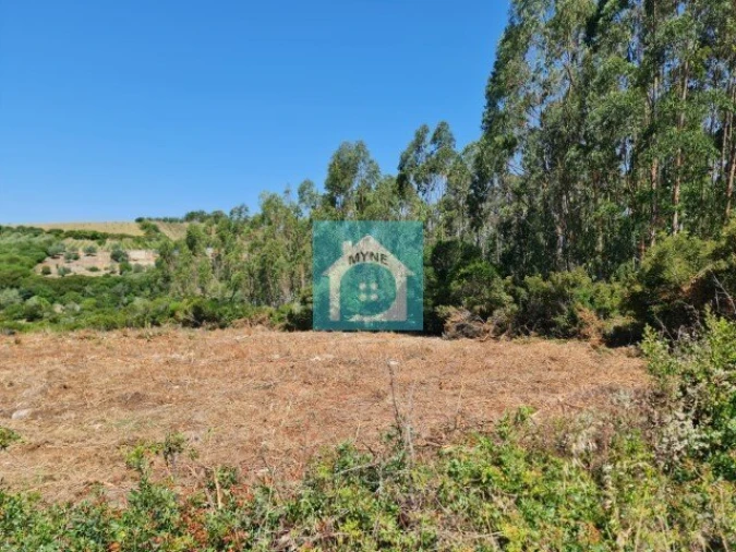 Terreno para Venda em Evora de Alcobaça Foto 5