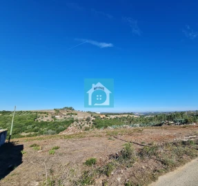 Terreno para Venda em Evora de Alcobaça