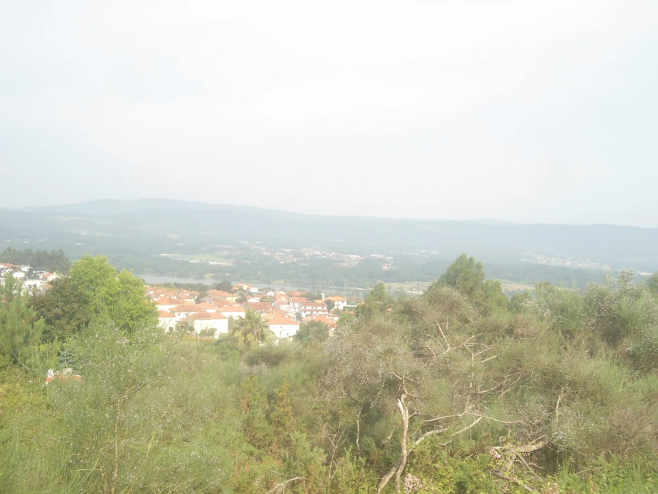 Terreno para Venda em Loivo Foto 5