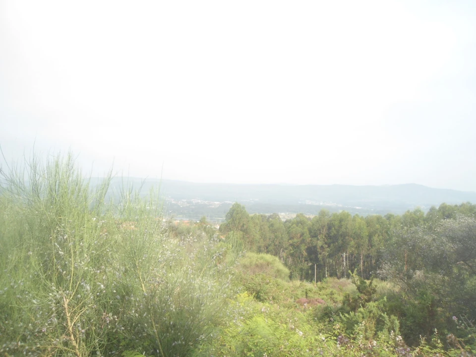 Terreno para Venda em Loivo Foto 4