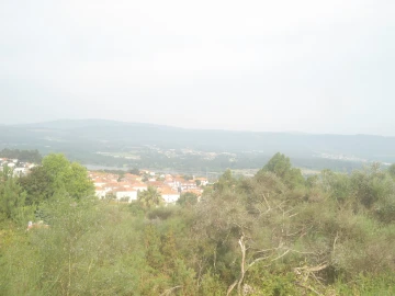 Terreno para Venda em Loivo