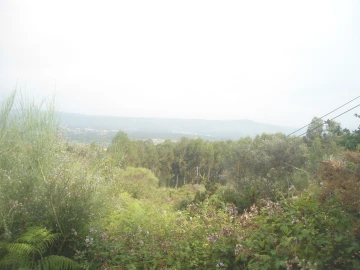 Terreno para Venda em Loivo