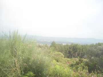 Terreno para Venda em Loivo