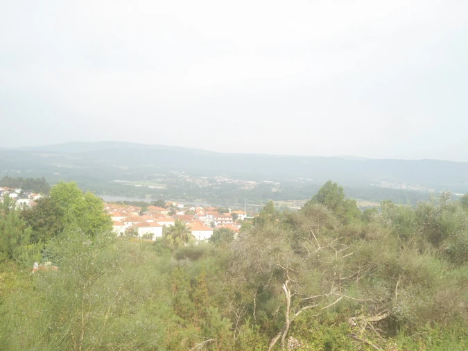 Terreno para Venda em Loivo Foto 5