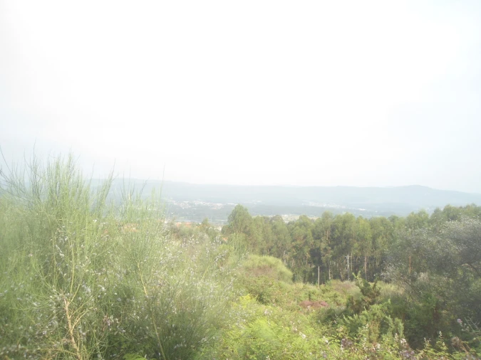 Terreno para Venda em Loivo Foto 4
