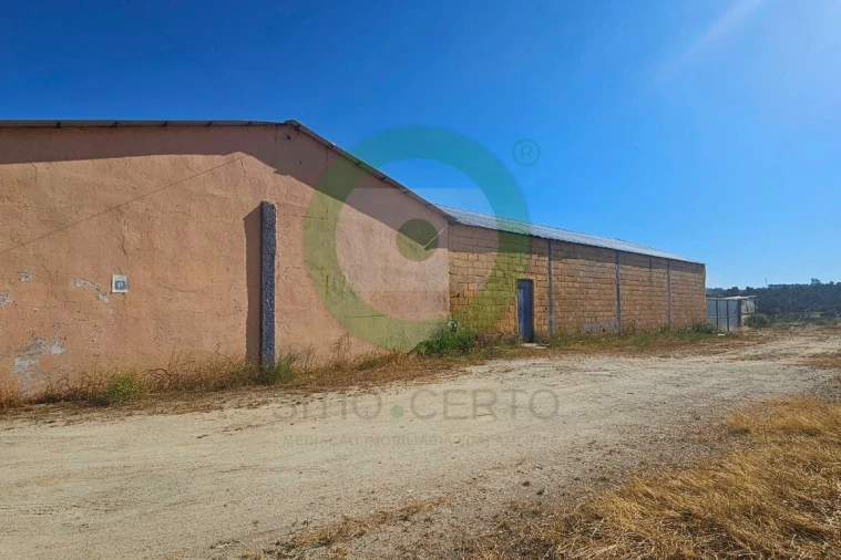 Armazém para Venda em Valpaços e Sanfins Foto 4