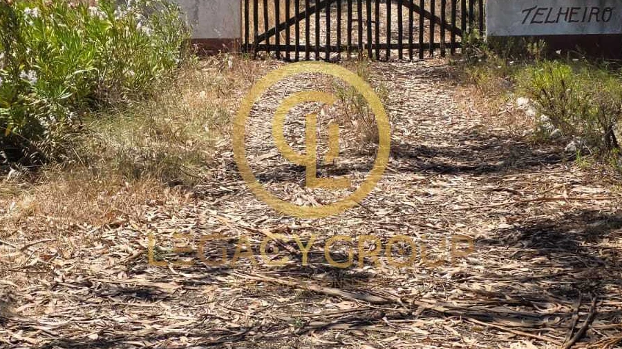 Quinta T0 para Venda em São Salvador e Santa Maria