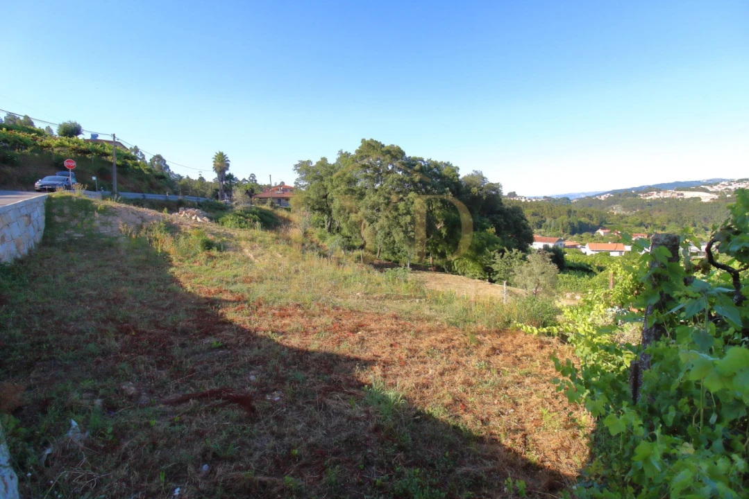 Terreno para Venda em Real Foto 17