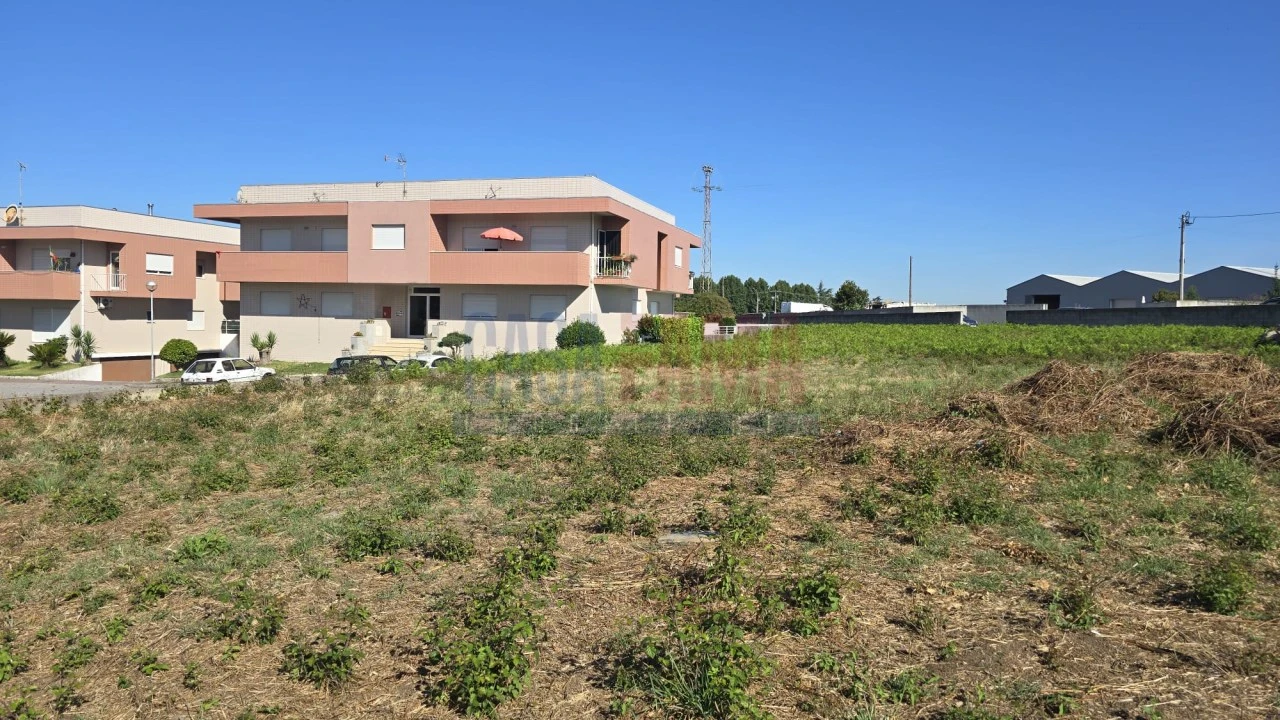 Terreno para Venda em Landim Foto 20