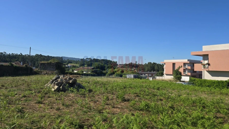 Terreno para Venda em Landim Foto 19