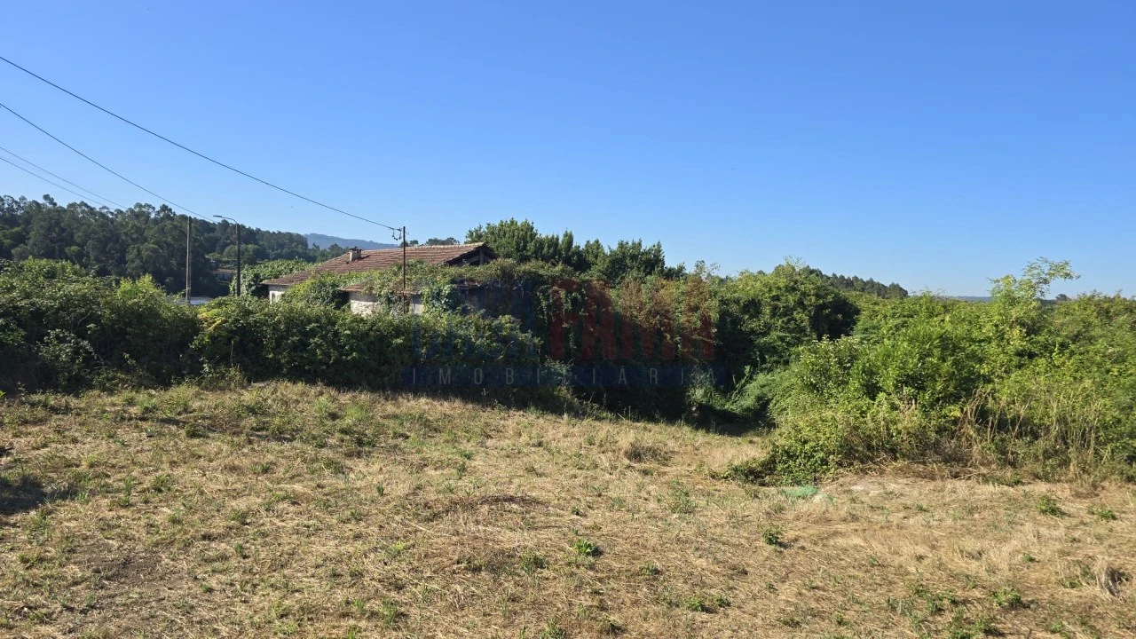 Terreno para Venda em Landim Foto 6