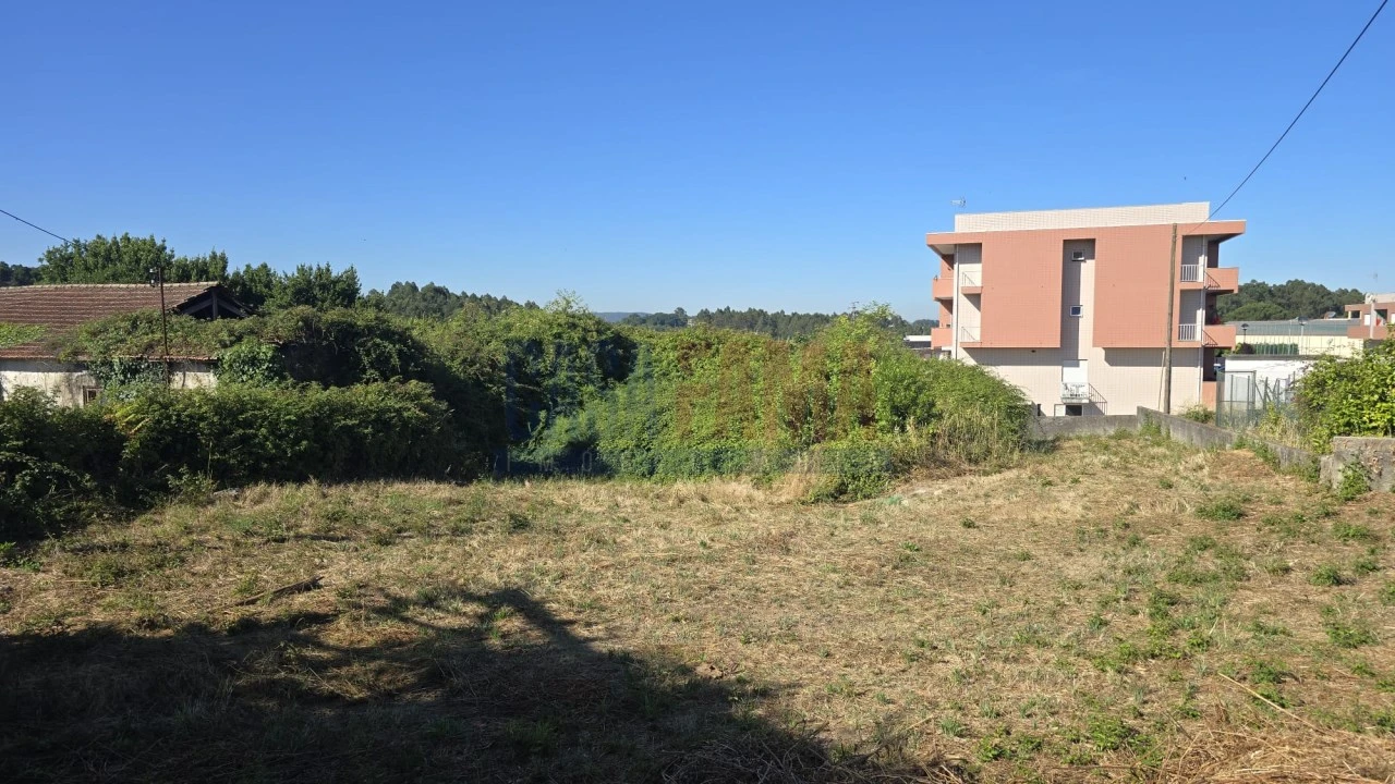 Terreno para Venda em Landim Foto 10